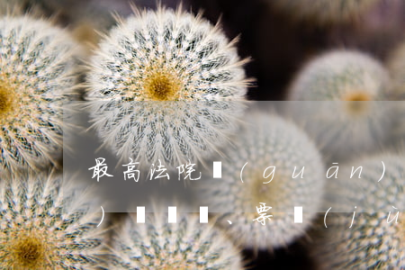 最高法院關(guān)于保險(xiǎn)、票據(jù)類糾紛裁判規(guī)則23條